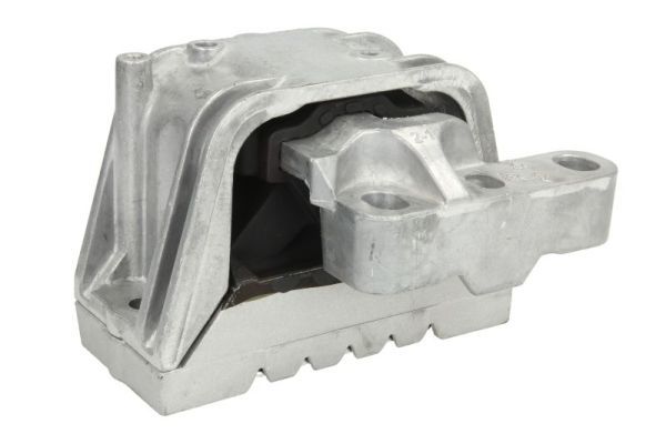 REINHOCH RH11-0068 Mounting, engine