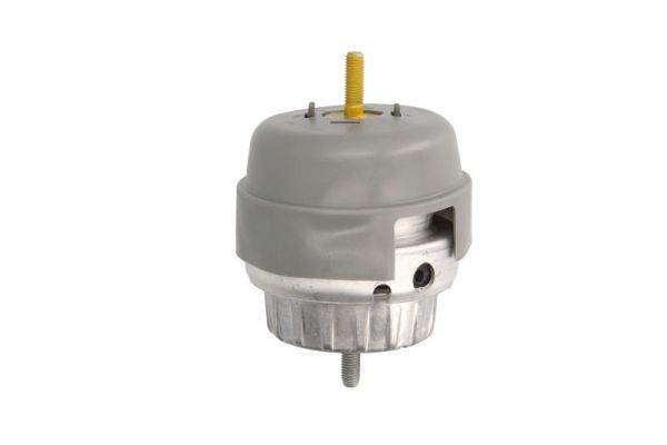 REINHOCH RH11-0069 Mounting, engine