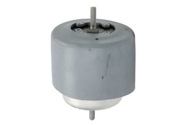 REINHOCH RH11-0071 Mounting, engine
