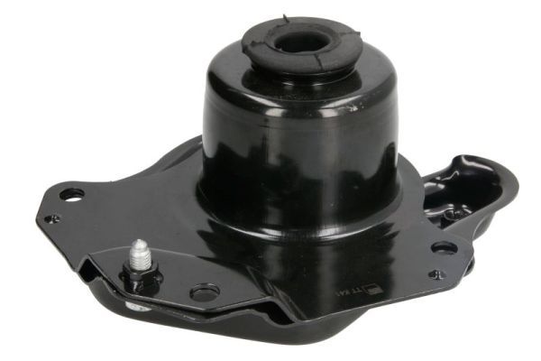REINHOCH RH11-0076 Mounting, engine