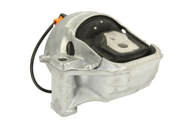 REINHOCH RH11-0079 Mounting, engine