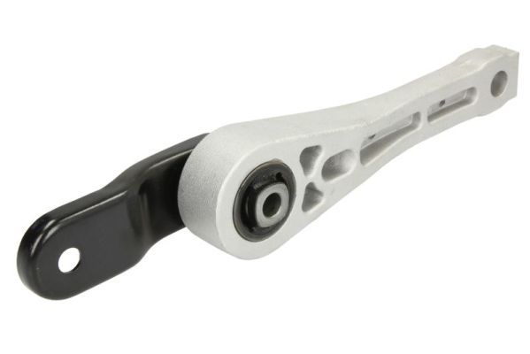 REINHOCH RH11-0087 Mounting, engine