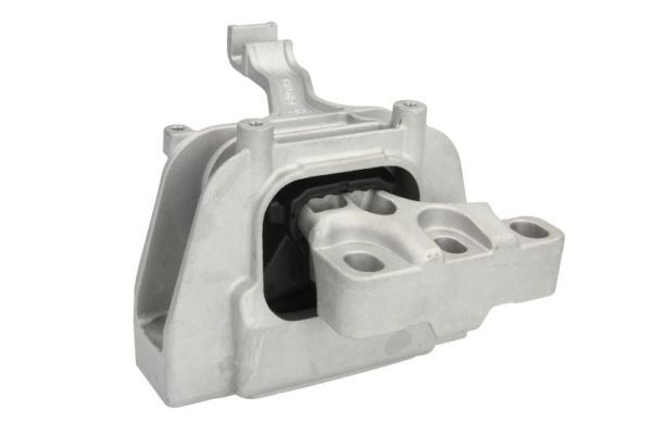 REINHOCH RH11-0091 Mounting, engine