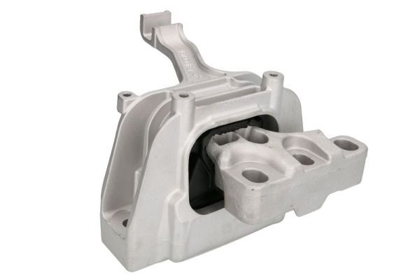 REINHOCH RH11-0093 Mounting, engine