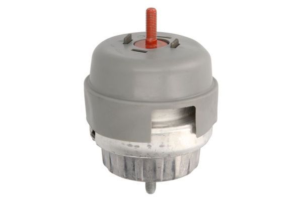 REINHOCH RH11-0097 Mounting, engine