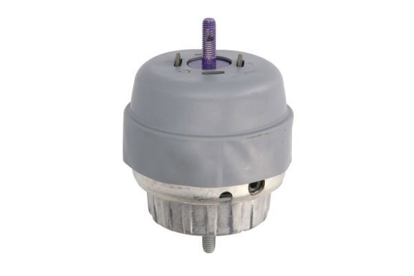 REINHOCH RH11-0099 Mounting, engine