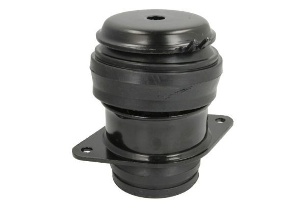 REINHOCH RH11-0107 Mounting, engine