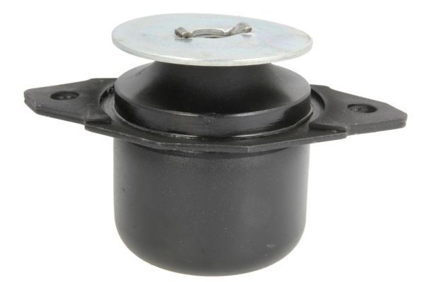 REINHOCH RH11-0108 Mounting, engine