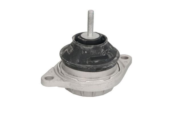 REINHOCH RH11-0120 Mounting, engine