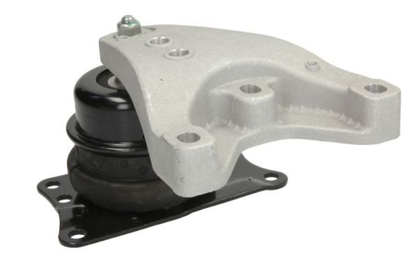 REINHOCH RH11-0123 Mounting, engine