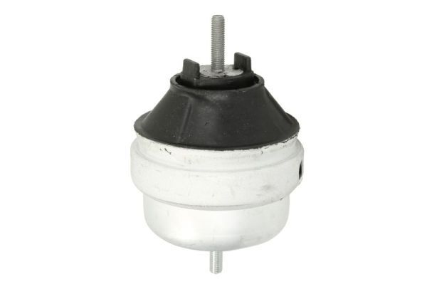 REINHOCH RH11-0124 Mounting, engine