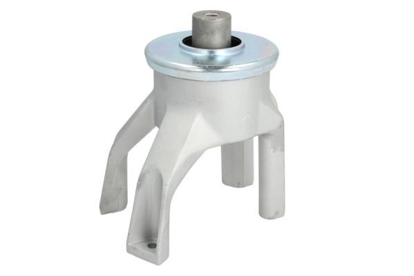 REINHOCH RH11-0125 Mounting, engine