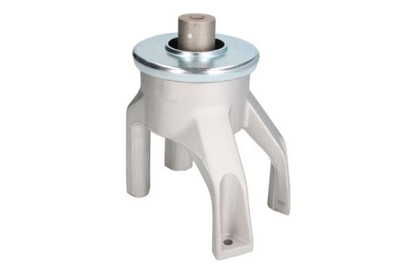 REINHOCH RH11-0126 Mounting, engine