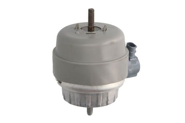REINHOCH RH11-0127 Mounting, engine