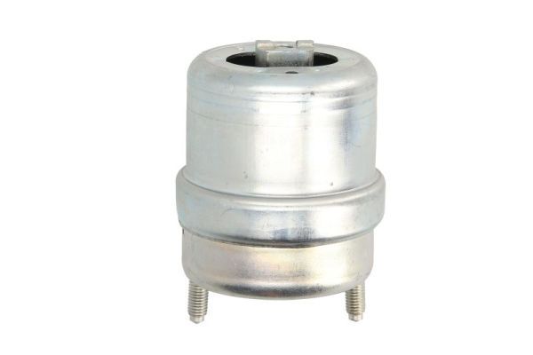 REINHOCH RH11-0129 Mounting, engine