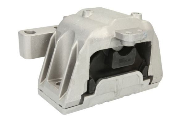 REINHOCH RH11-0131 Mounting, engine