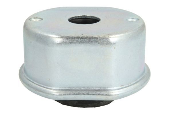 REINHOCH RH11-0132 Mounting, engine