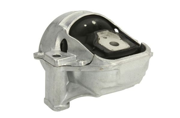 REINHOCH RH11-0135 Mounting, engine