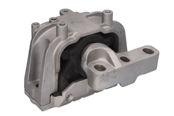 REINHOCH RH11-0157 Mounting, engine