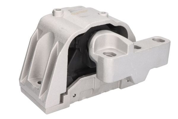 REINHOCH RH11-0166 Mounting, engine