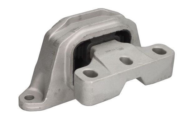 REINHOCH RH11-0172 Mounting, engine