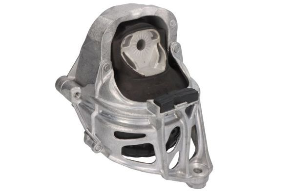 REINHOCH RH11-0173 Mounting, engine