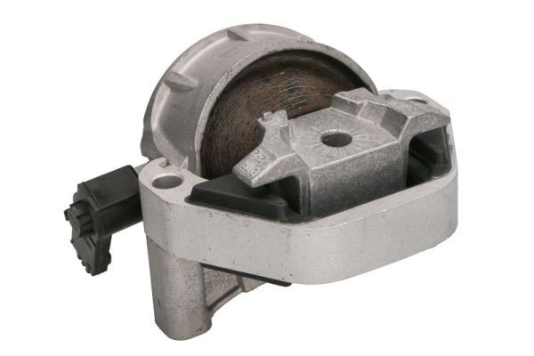 REINHOCH RH11-0179 Mounting, engine