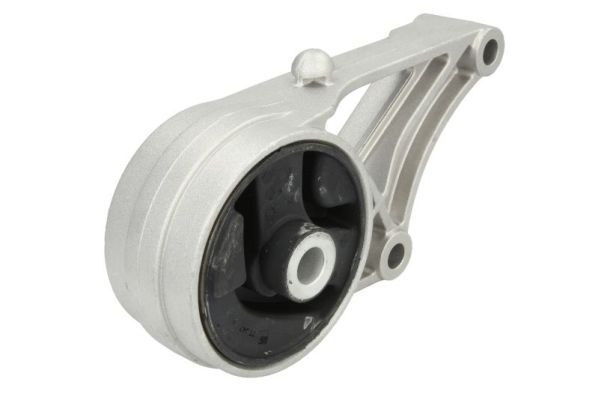 REINHOCH RH11-1017 Mounting, engine