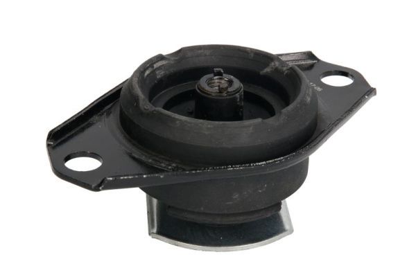 REINHOCH RH11-1030 Mounting, engine