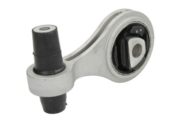 REINHOCH RH11-1036 Mounting, engine