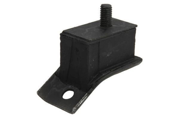 REINHOCH RH11-1061 Mounting, engine