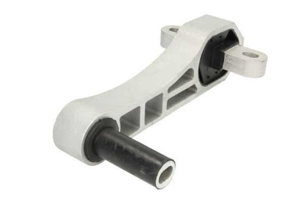 REINHOCH RH11-1066 Mounting, engine