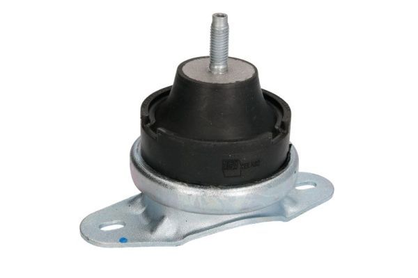 REINHOCH RH11-1070 Mounting, engine