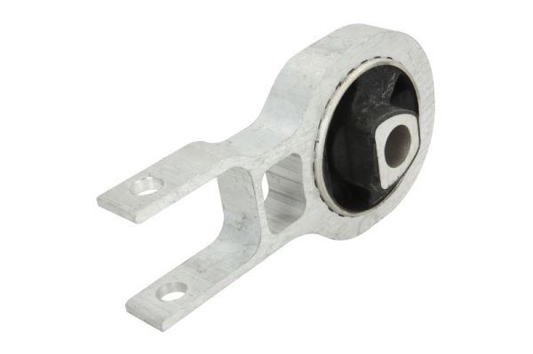 REINHOCH RH11-1081 Mounting, engine