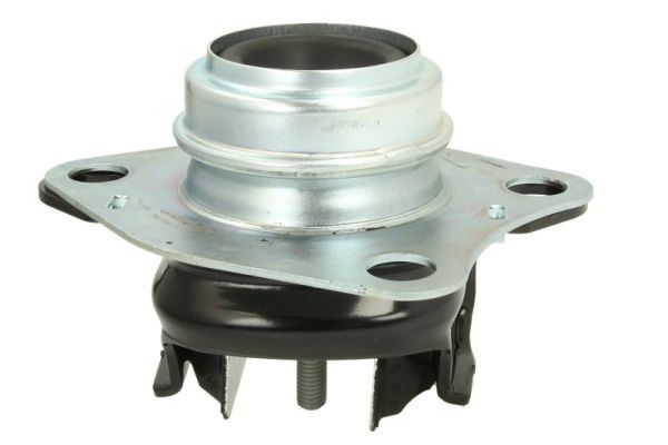 REINHOCH RH11-2018 Mounting, engine