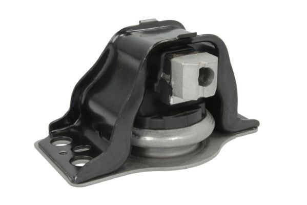 REINHOCH RH11-2029 Mounting, engine