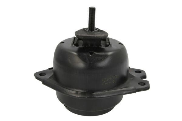 REINHOCH RH11-2033 Mounting, engine