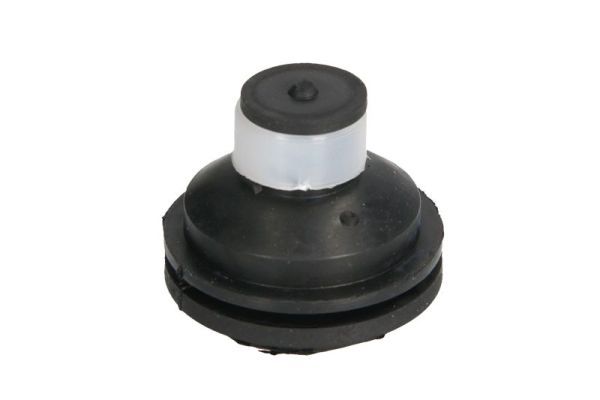 REINHOCH RH11-2109 Mounting, engine