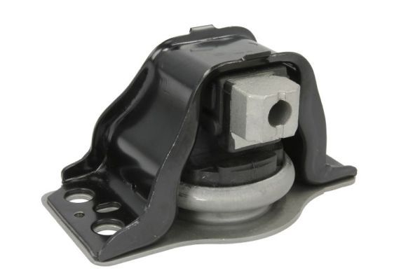REINHOCH RH11-2128 Mounting, engine