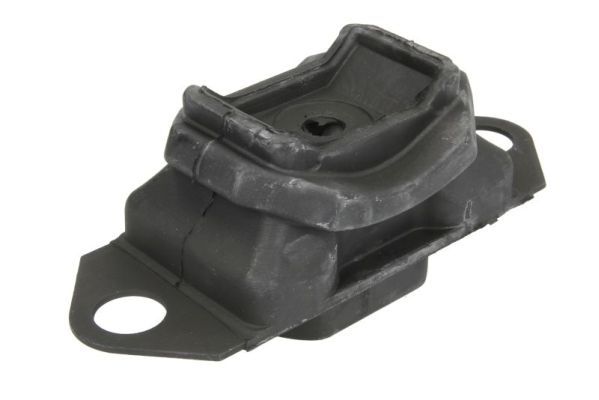 REINHOCH RH11-2129 Mounting, engine