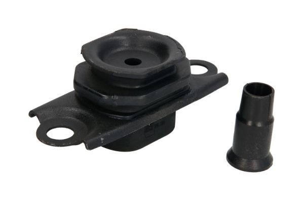 REINHOCH RH11-2166 Mounting, engine