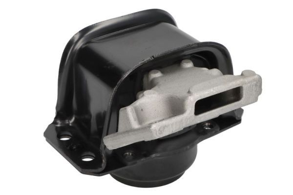 REINHOCH RH11-2186 Mounting, engine