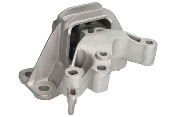 REINHOCH RH11-2196 Mounting, engine