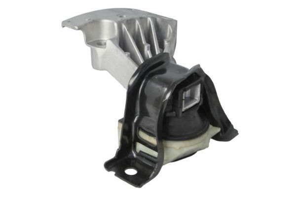 REINHOCH RH11-2217 Mounting, engine