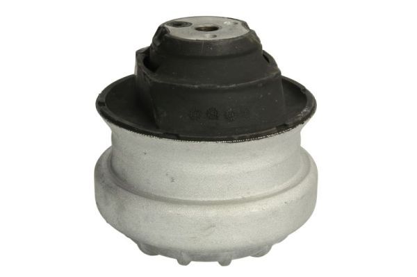 REINHOCH RH11-3000 Mounting, engine