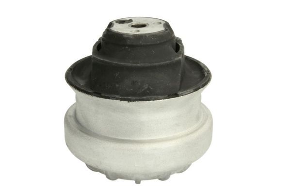 REINHOCH RH11-3003 Mounting, engine