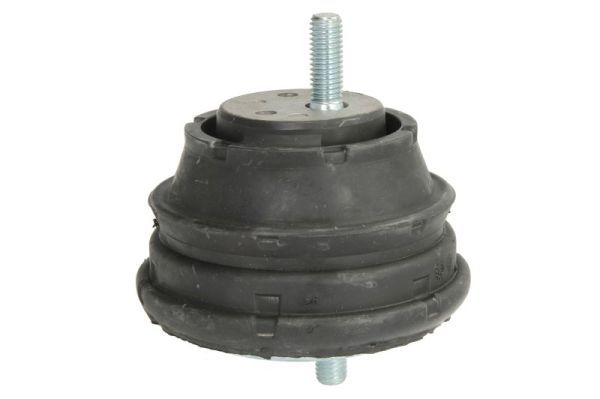 REINHOCH RH11-3009 Mounting, engine