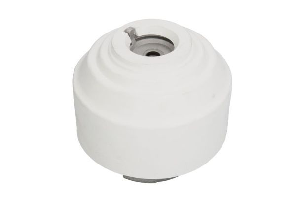 REINHOCH RH11-3015 Mounting, engine