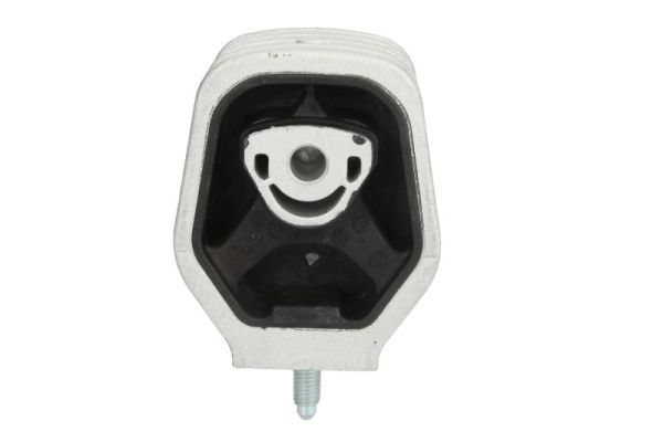 REINHOCH RH11-3016 Mounting, engine