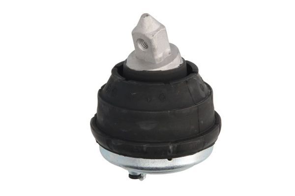 REINHOCH RH11-3017 Mounting, engine
